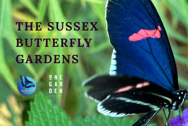 A1 Posters 1000 x 670 px 2