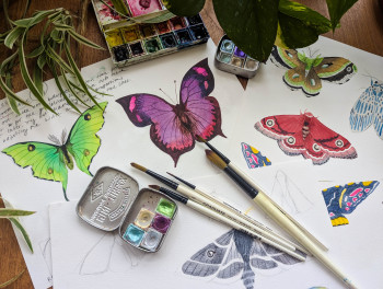 Butterfly