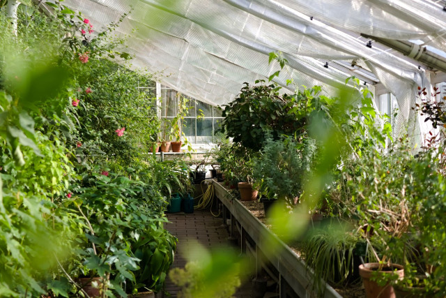 CG Level 3 Technical Diploma in Horticulture