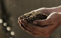 Compost