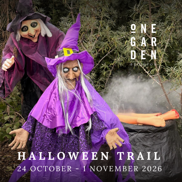 Copy of October half term ad campaign 2