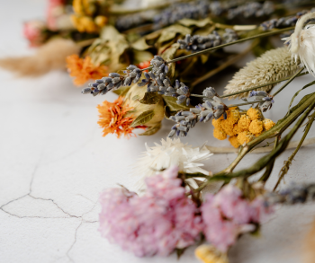 Dried Flowers Valentines