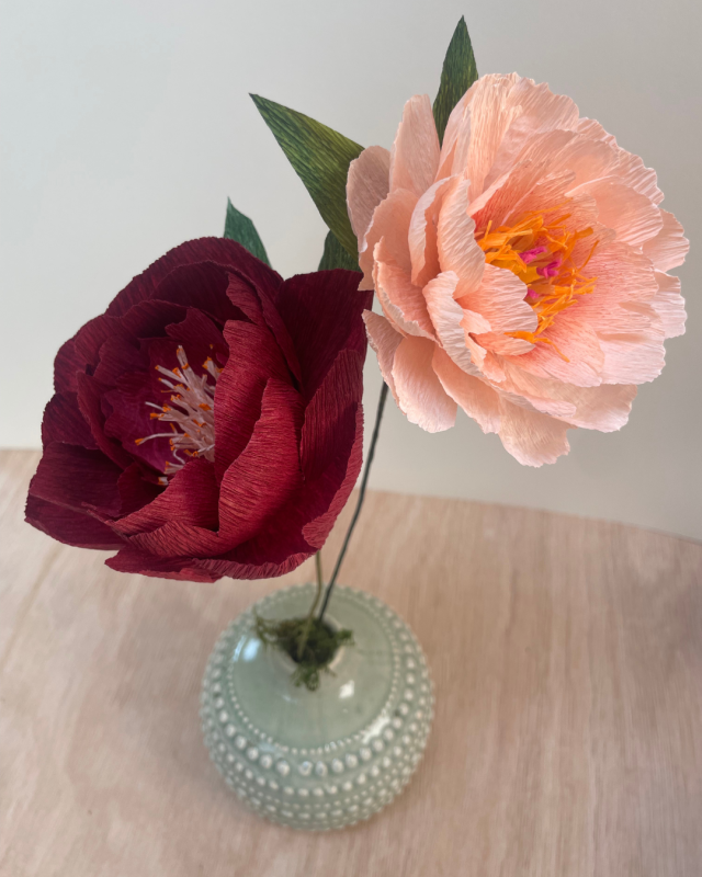 JCobb Peony