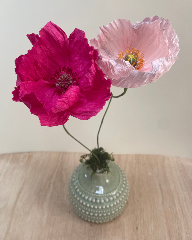 JCobb Poppy