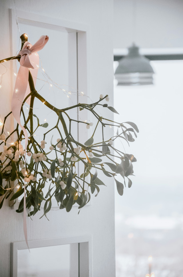 Mistletoe