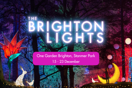 Newsletter The Brighton Lights 02 560 x 373 px 1