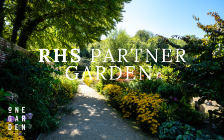 Newsletter image Oct 2025 14