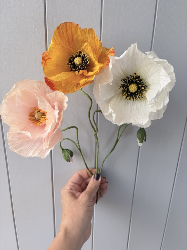 Poppies v2