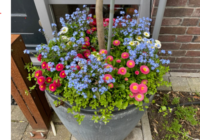 Screenshot 2026 01 16 131457