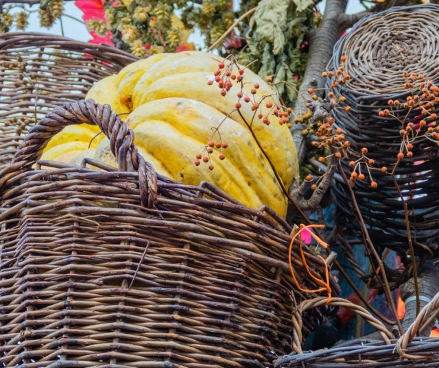 Willow Basket