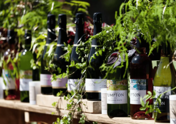 festive wine tasting v2