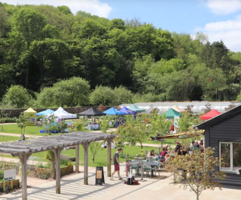 sustainablity festival