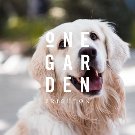Dog Grooming at One Garden Brighton