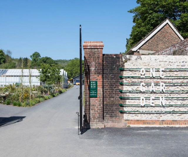 Volunteer Newsletter One Garden Brighton
