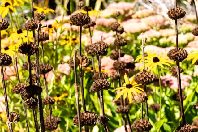 chemical free gardening