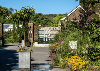 Summer One Garden Brighton