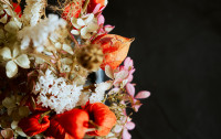 dirk ribbler iQtlXlq2oEk unsplash