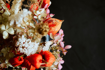 dirk ribbler iQtlXlq2oEk unsplash
