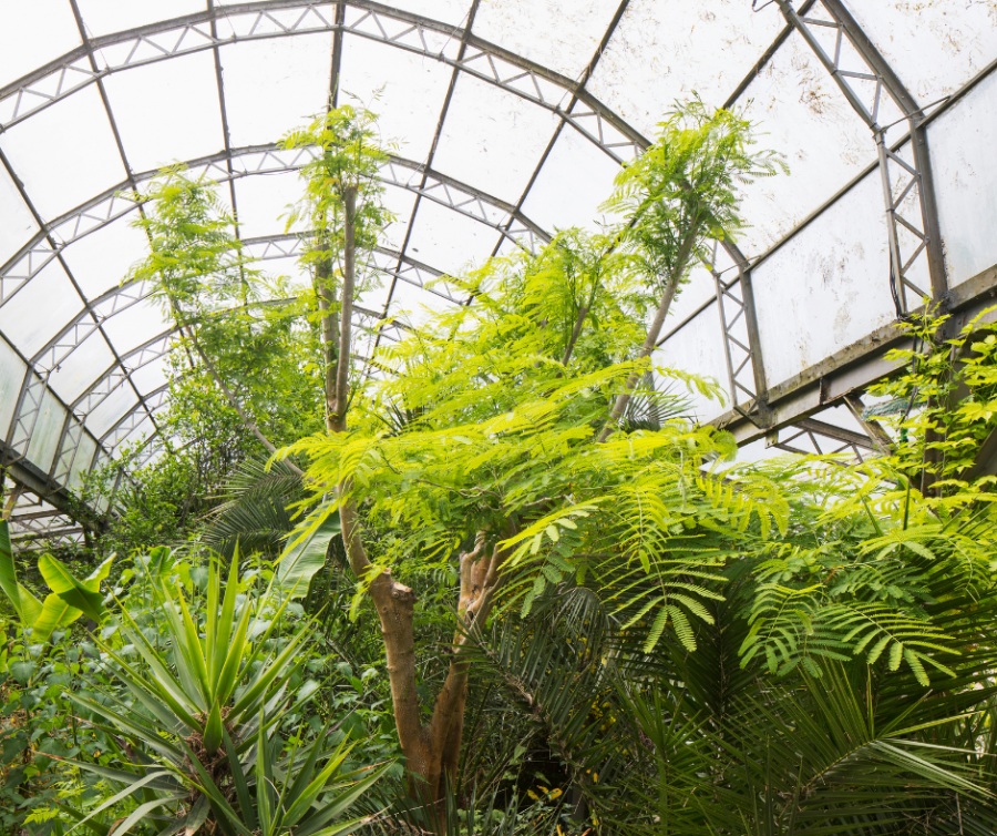 Volunteer Gardens