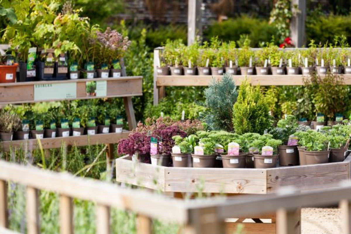 plant sales 2