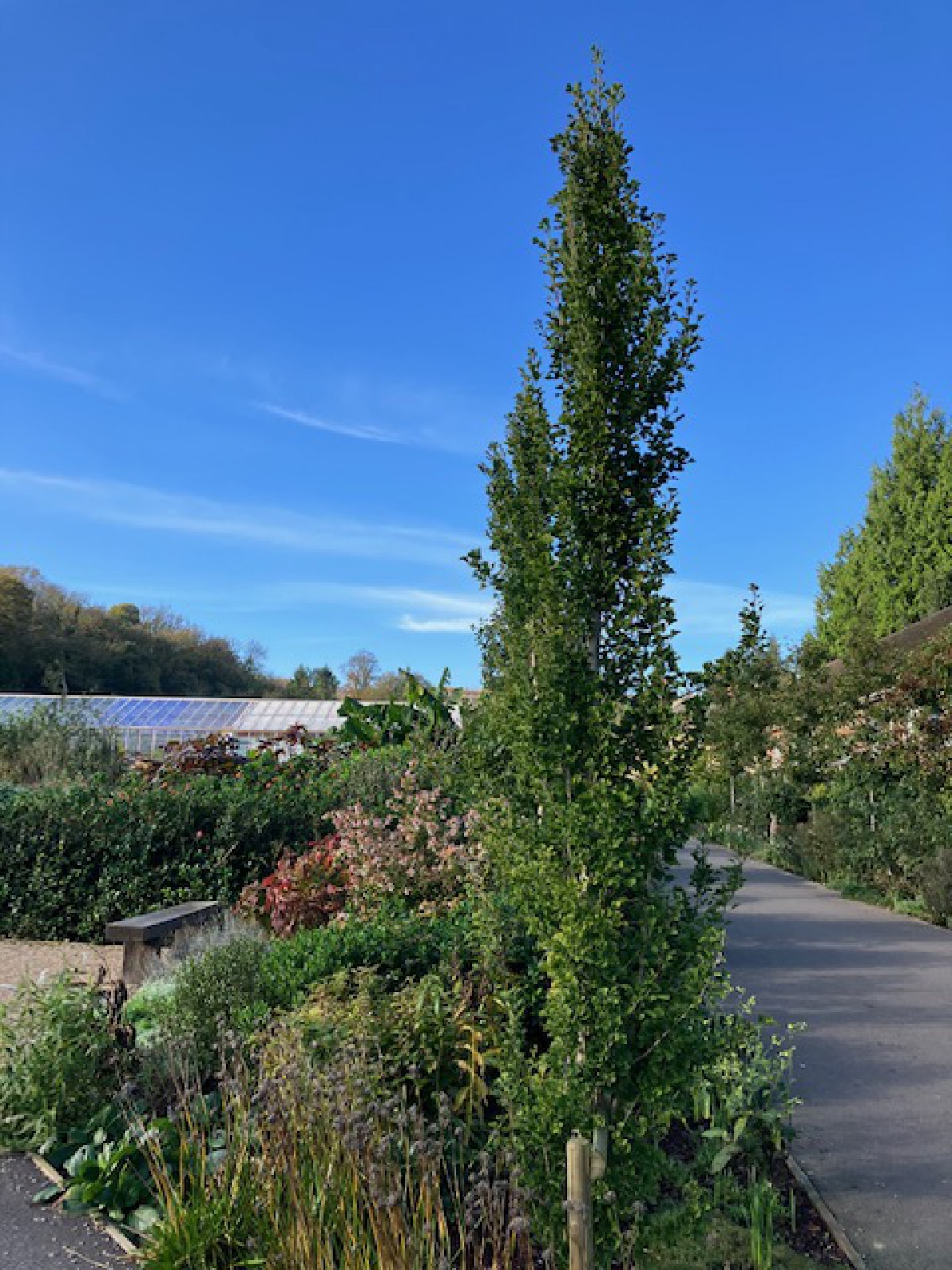 IMG 1356