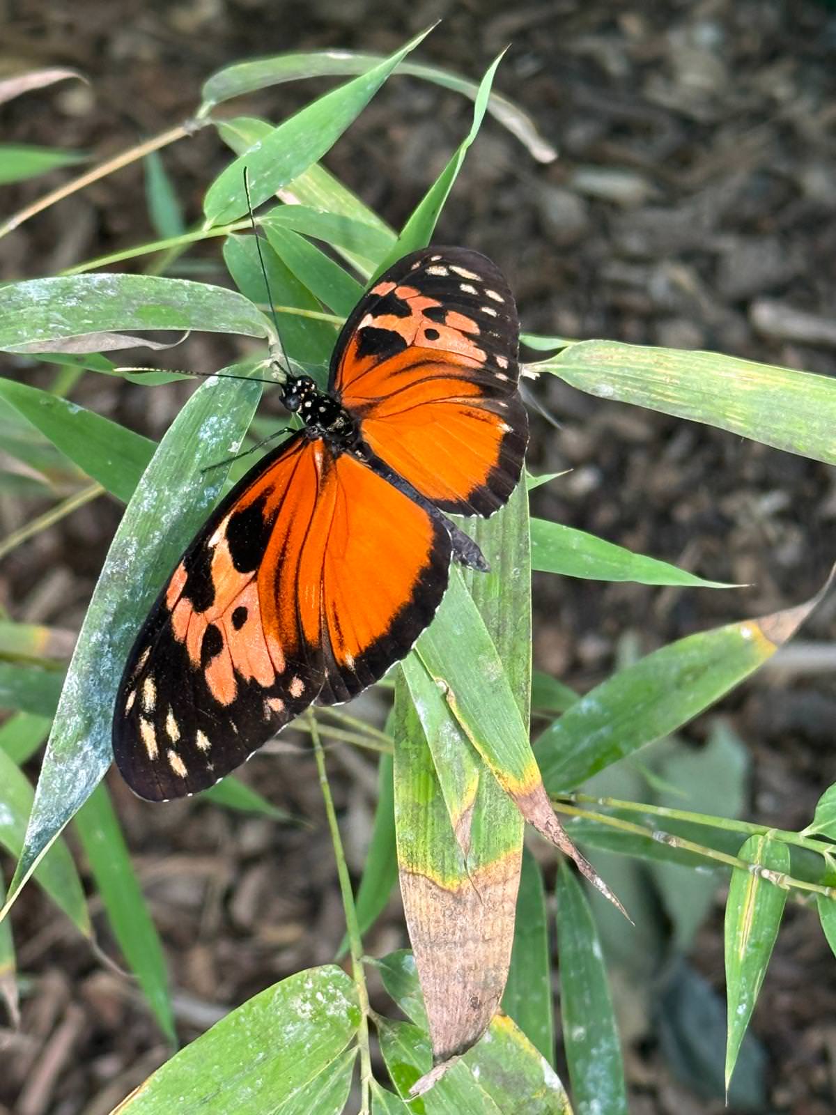 WhatsApp Image 2026 04 02 at 13.58.07 2