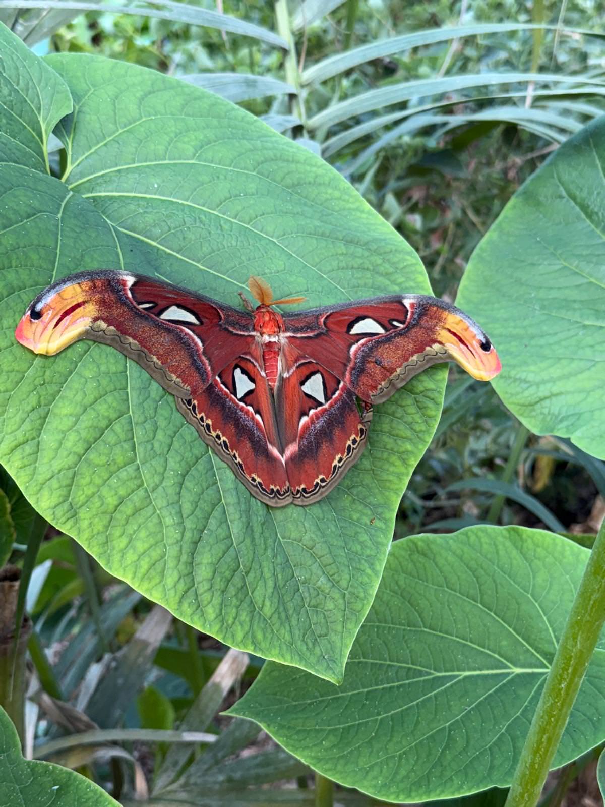 WhatsApp Image 2026 04 02 at 13.58.07 4