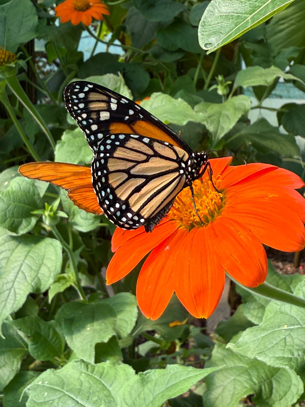 WhatsApp Image 2026 04 02 at 13.58.07