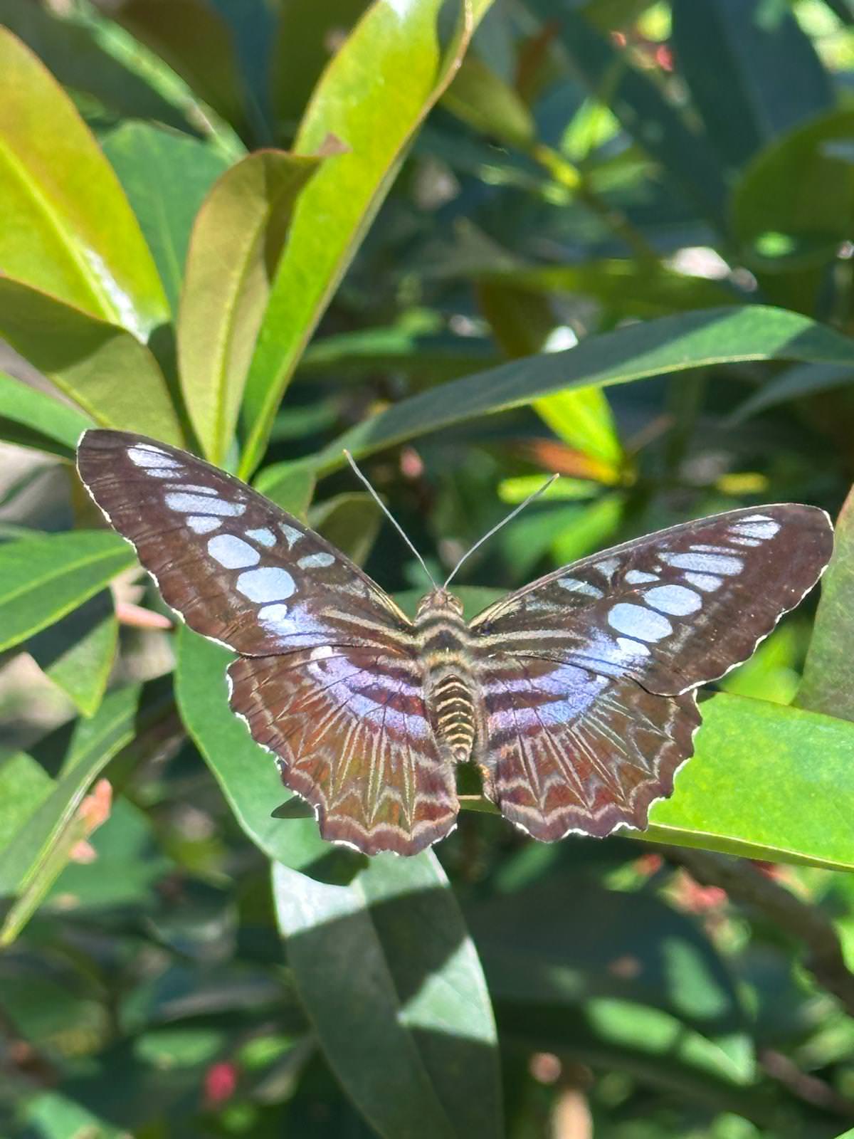 WhatsApp Image 2026 04 02 at 13.58.08 1