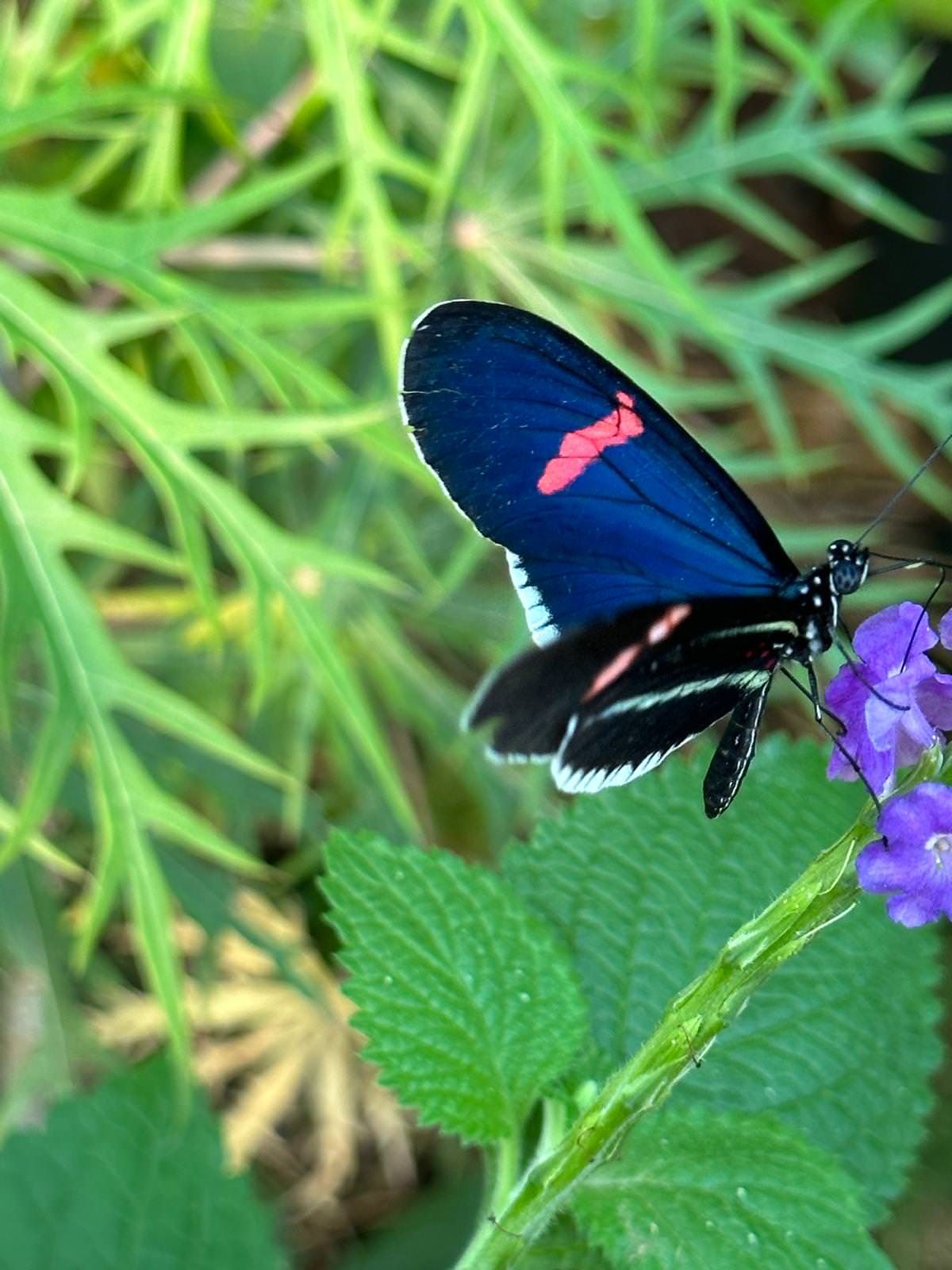 WhatsApp Image 2026 04 02 at 13.58.08 10