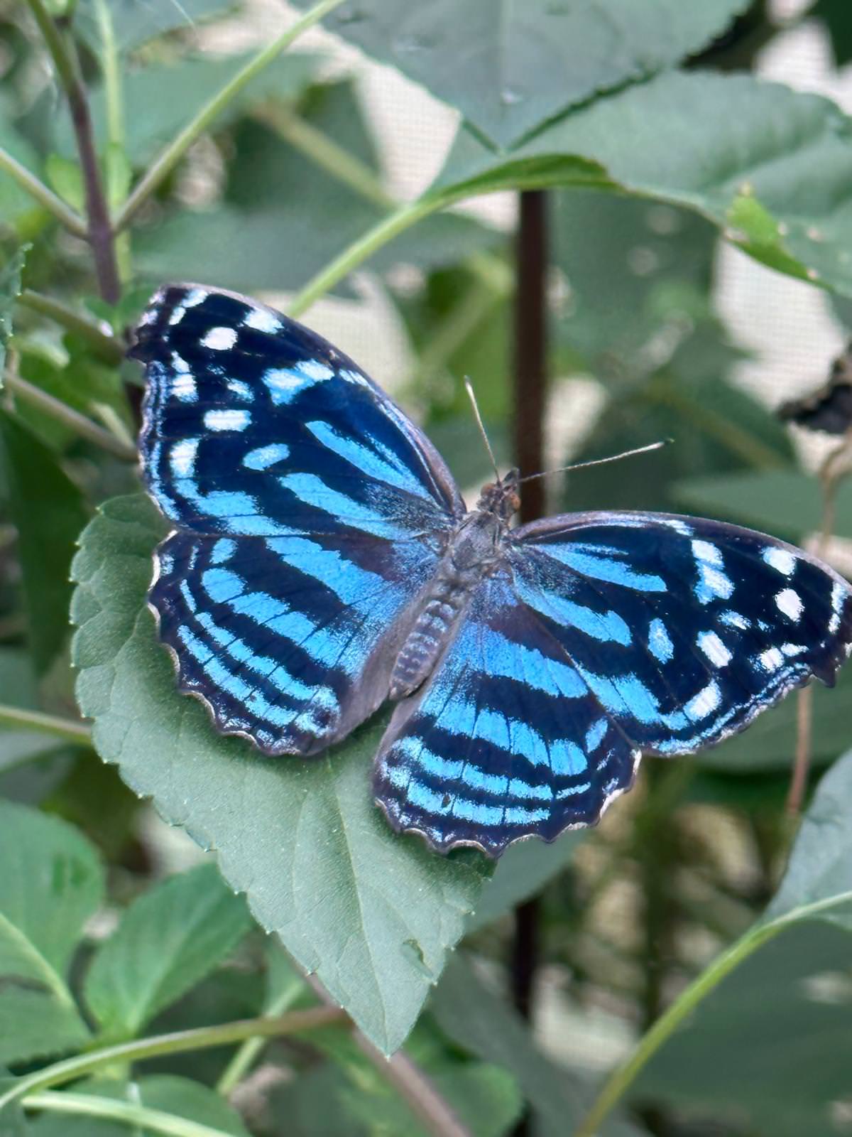 WhatsApp Image 2026 04 02 at 13.58.08 11