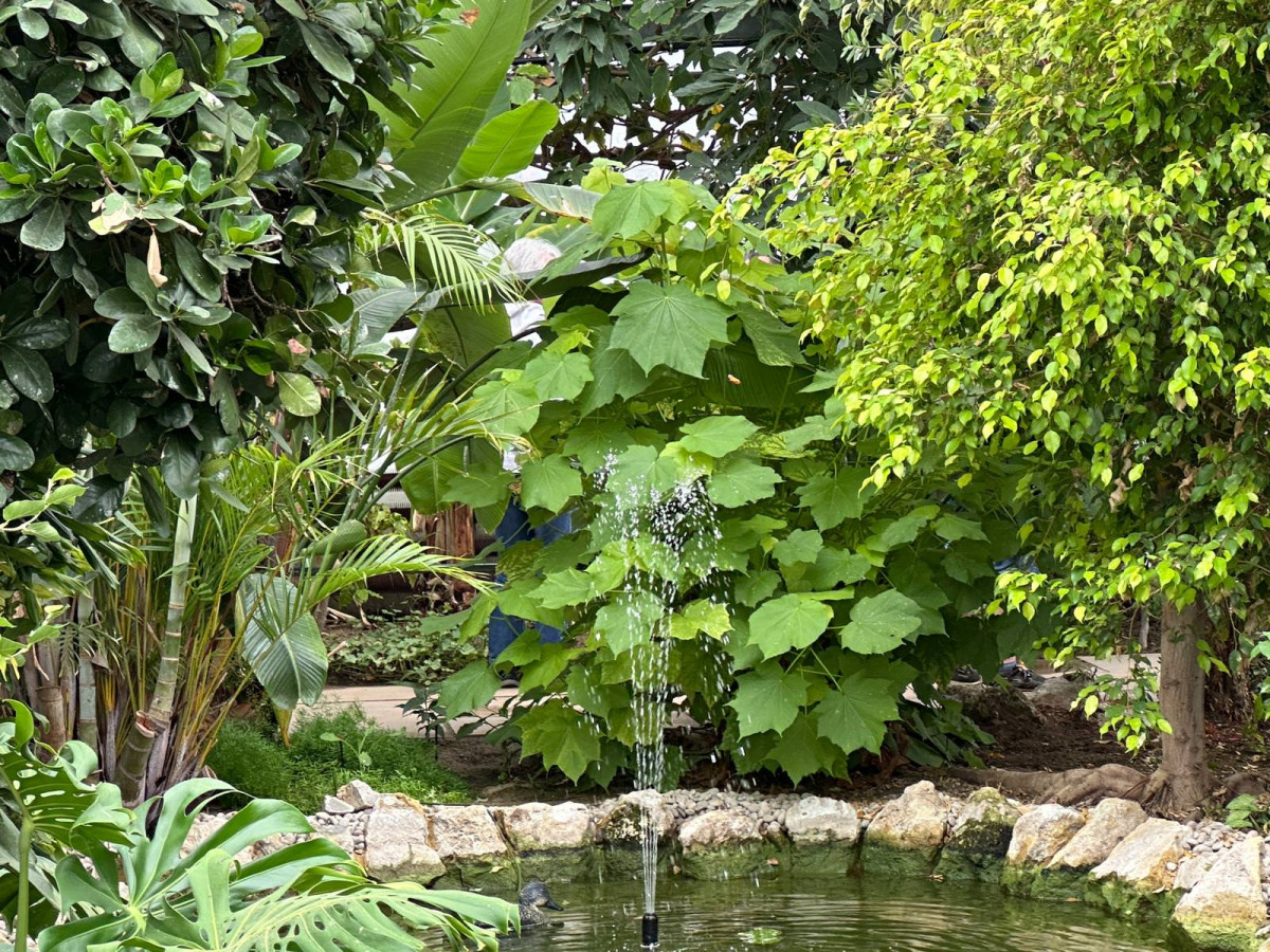 WhatsApp Image 2026 04 02 at 13.58.08 13