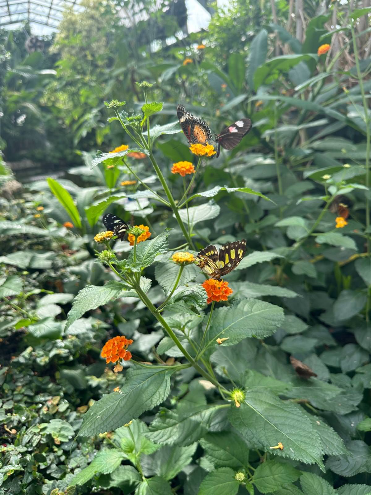 WhatsApp Image 2026 04 02 at 13.58.08 15