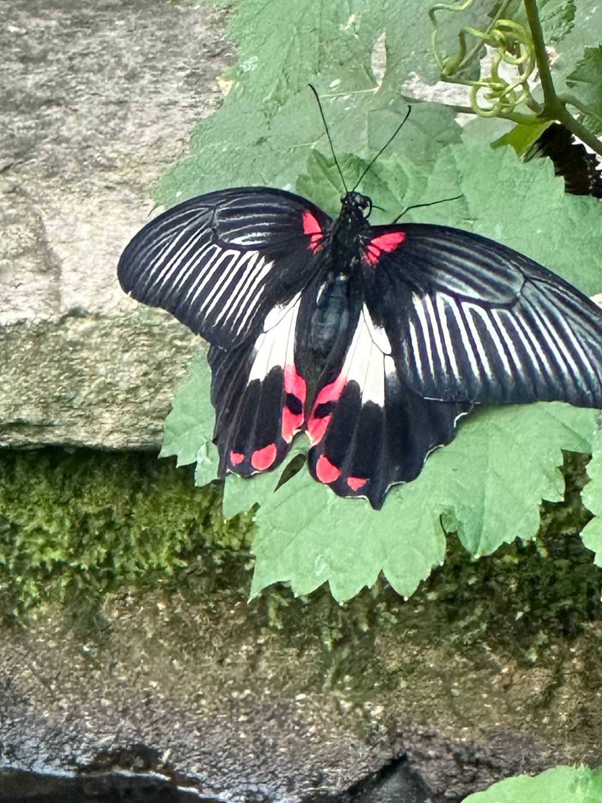 WhatsApp Image 2026 04 02 at 13.58.08 2