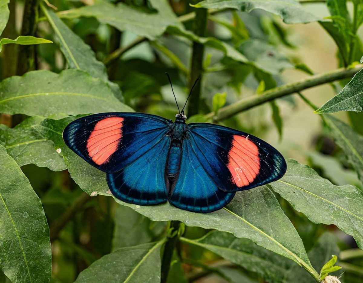 WhatsApp Image 2026 04 02 at 13.58.08 5