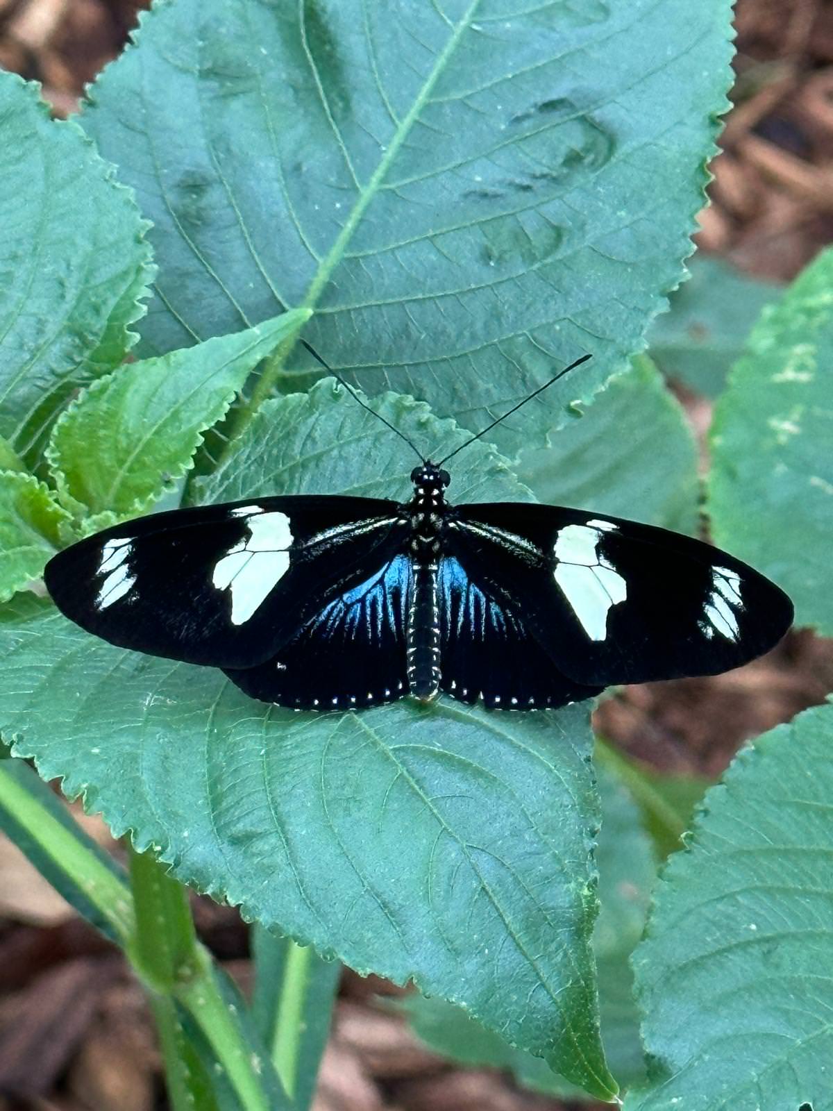 WhatsApp Image 2026 04 02 at 13.58.08 6