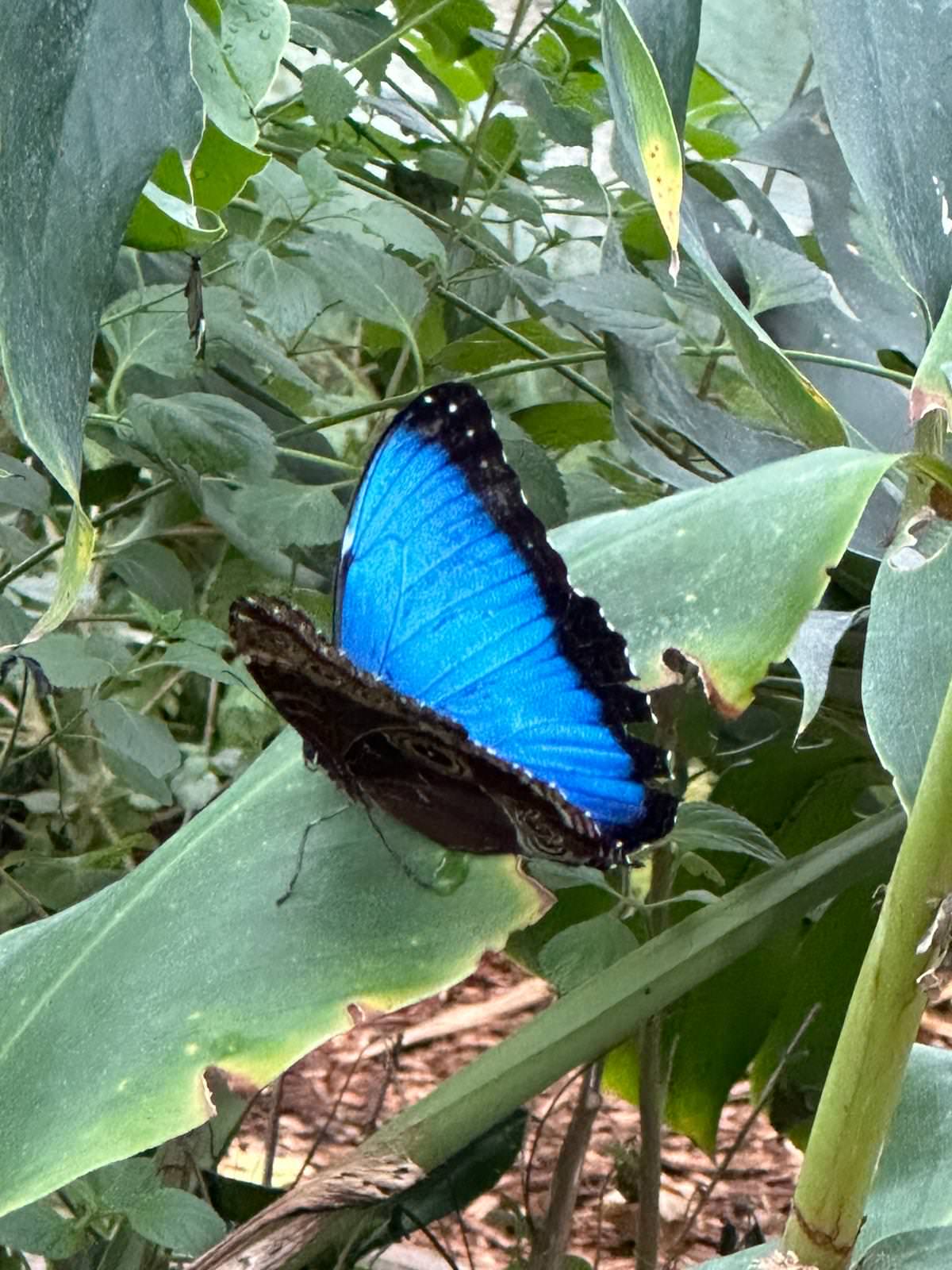 WhatsApp Image 2026 04 02 at 13.58.08 7