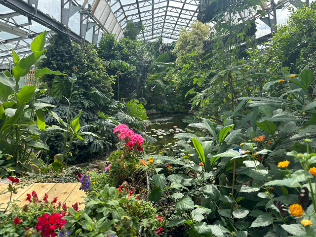 WhatsApp Image 2026 04 02 at 13.58.08 14